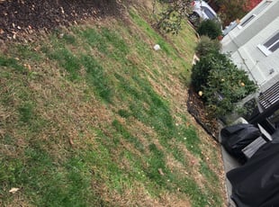 Cleanups by Clinique Martin for John K. in Washington, DC