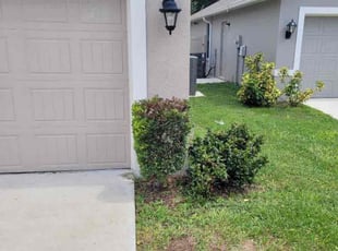 Bush Trimming by Hanif Ibn King for Georgette S. in Wahneta, FL