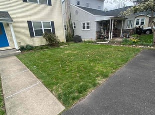 Tatiana C.'s Yard Cutting service result