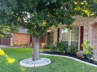 Marcy F.'s Grass Cutting service result