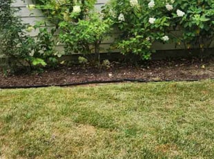 Dan C.'s Bush Trimming service result