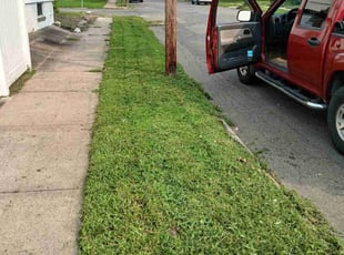 Jin C.'s Lawn Care service result