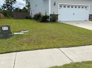 Sarah D.'s Lawn Mowing Service service result