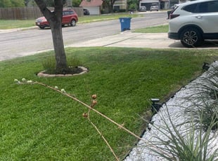 Jeremy N.'s Lawn Mowing Service service result