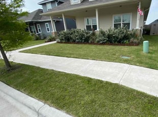 Catherine T.'s Yard Cutting service result