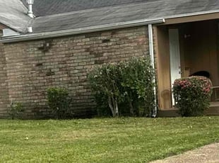 Bush Trimming by Jerome Harris for John B. in Montgomery, AL