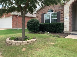 Bush Trimming by Ivan Aguilar for Austin B. in Forney, TX