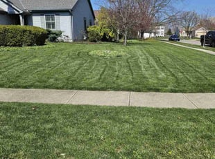 Courtney W.'s Grass Cutting service result
