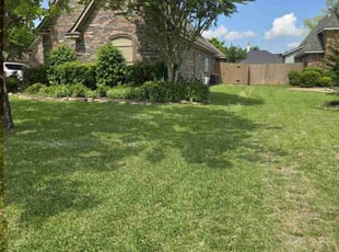 Verna D.'s Lawn Mowing service result