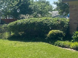 Bush Trimming by Dante Pressley for Chelle S. in Richardson, TX