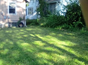 Leaf Removal by Wayne Propst for Kora W. in Kansas City, MO