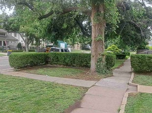 Bush Trimming by William Beacham for Keith Y B. in Wichita, KS