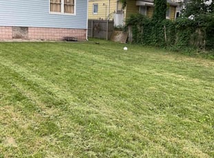 Martha C.'s Lawn Care service result