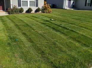 Chris M.'s Lawn Maintenance service result