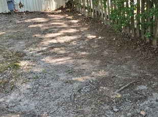 Cleanups by Danielle Patterson for Cathryn M. in Virginia Beach, VA