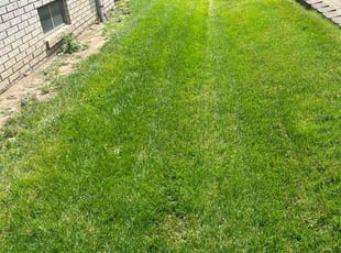 Parker C.'s Lawn Care service result
