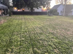 Timothy D.'s Yard Cutting service result
