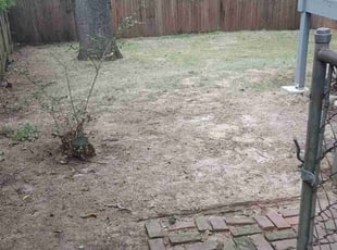 Leaf Removal by C Dubois for Sydne S. in Atlanta, GA