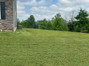 Jacquelyn P.'s Lawn Care service result