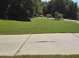 Philip L.'s Lawn Maintenance service result