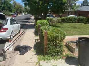 Bush Trimming by Tylon Newcomb for Vickie H. in Aurora, CO