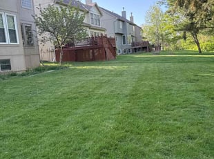 Aditi D.'s Lawn Mowing service result