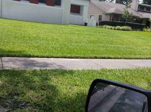 claude B.'s Lawn Mowing Service service result