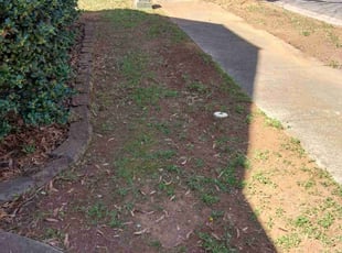 Leaf Removal by Damion Forney for Brittany C. in Huntersville, NC