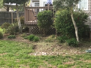Weeding by Daniel Midgett for Jessica T. in Virginia Beach, VA