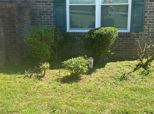 Bush Trimming by Samarrio Conney for Ricardo N. in Atlanta, GA