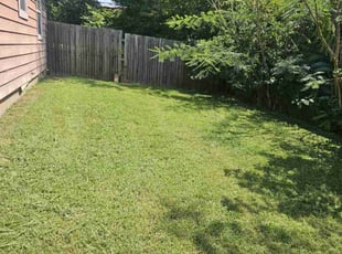 Madeline H.'s Lawn Service service result