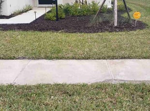 Jess J.'s Lawn Mowing service result