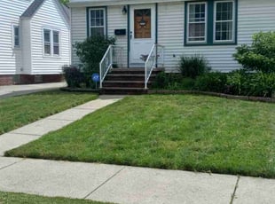 Ravi P S.'s Lawn Service service result