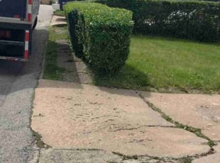 Bush Trimming by Marlon Hardman for Raynee G. in Pittsburgh, PA