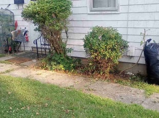 Bush Trimming by Tammy Sarandrea for Victoria V. in Providence, RI
