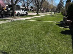 Jibreel J.'s Yard Cutting service result