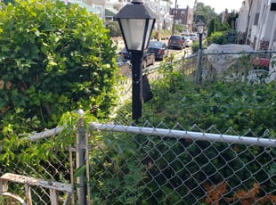 Bush Trimming by Jamil Hafeeza for Donna L. in Philadelphia, PA