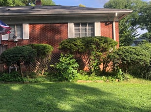 Bush Trimming by Jeremiah Davis for Tiffany B. in Concord, NC