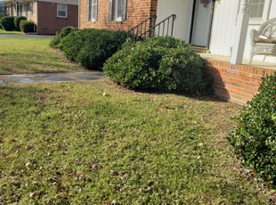 Bush Trimming by Brett Cameron for Vera M. in Richmond, VA