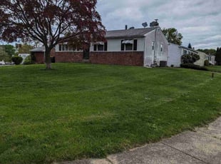 Cassandra H.'s Lawn Mowing Service service result