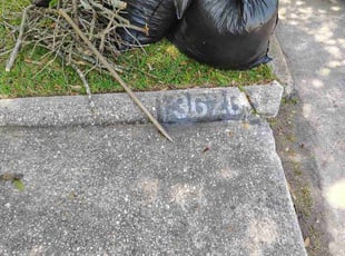 Leaf Removal by Enrique Ramirez for Sydney G. in Humble, TX