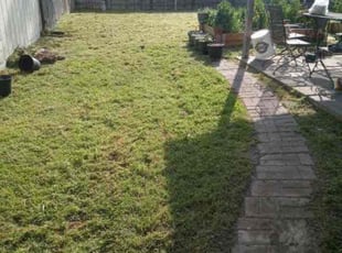 Nganda I.'s Lawn Service service result