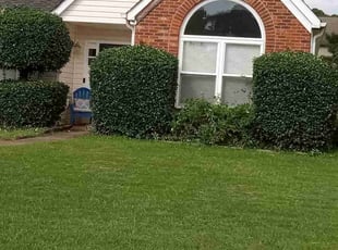 Ed A.'s Bush Trimming service result