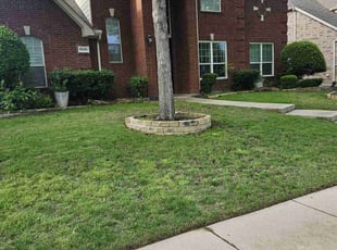 Weeding by Manuel Solis Soto for Dheeraj K. in Frisco, TX