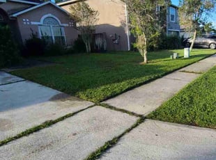 Roger W.'s Lawn Service service result