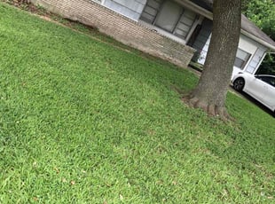 Roman G.'s Lawn Mowing Service service result