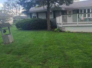 Eileen H.'s Grass Cutting service result