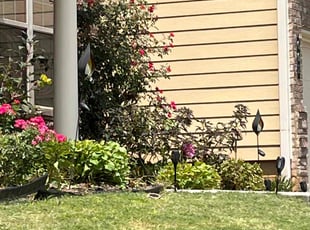 Trice J.'s Bush Trimming service result