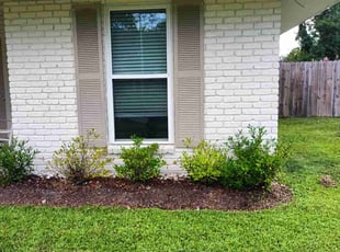 Weeding by Jared Lecompte for Nicole A. in Baton Rouge, LA