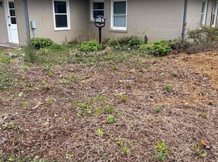 Cleanups by Robert Martin for Stephanie M. in Louisville, KY